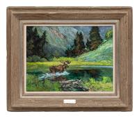 Moose & The Beaver Dam