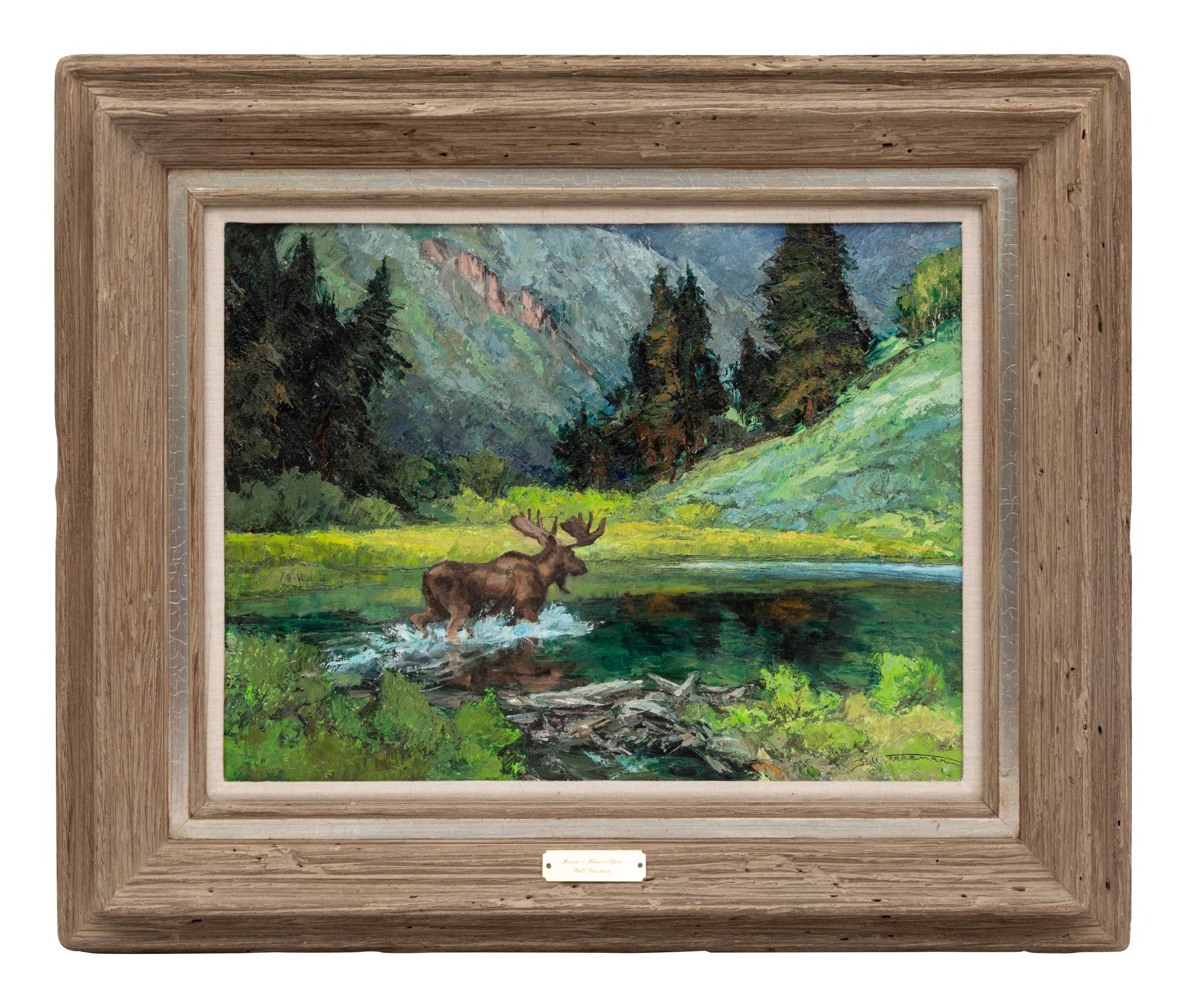 Moose & The Beaver Dam