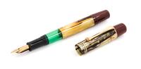 A Pelikan Gunther Wagner 100 Fountain Pen