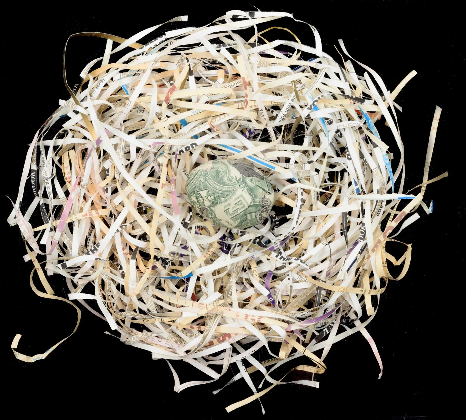 Untitled (Nest Egg)