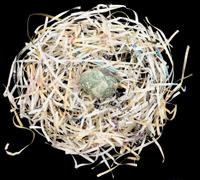 Untitled (Nest Egg)