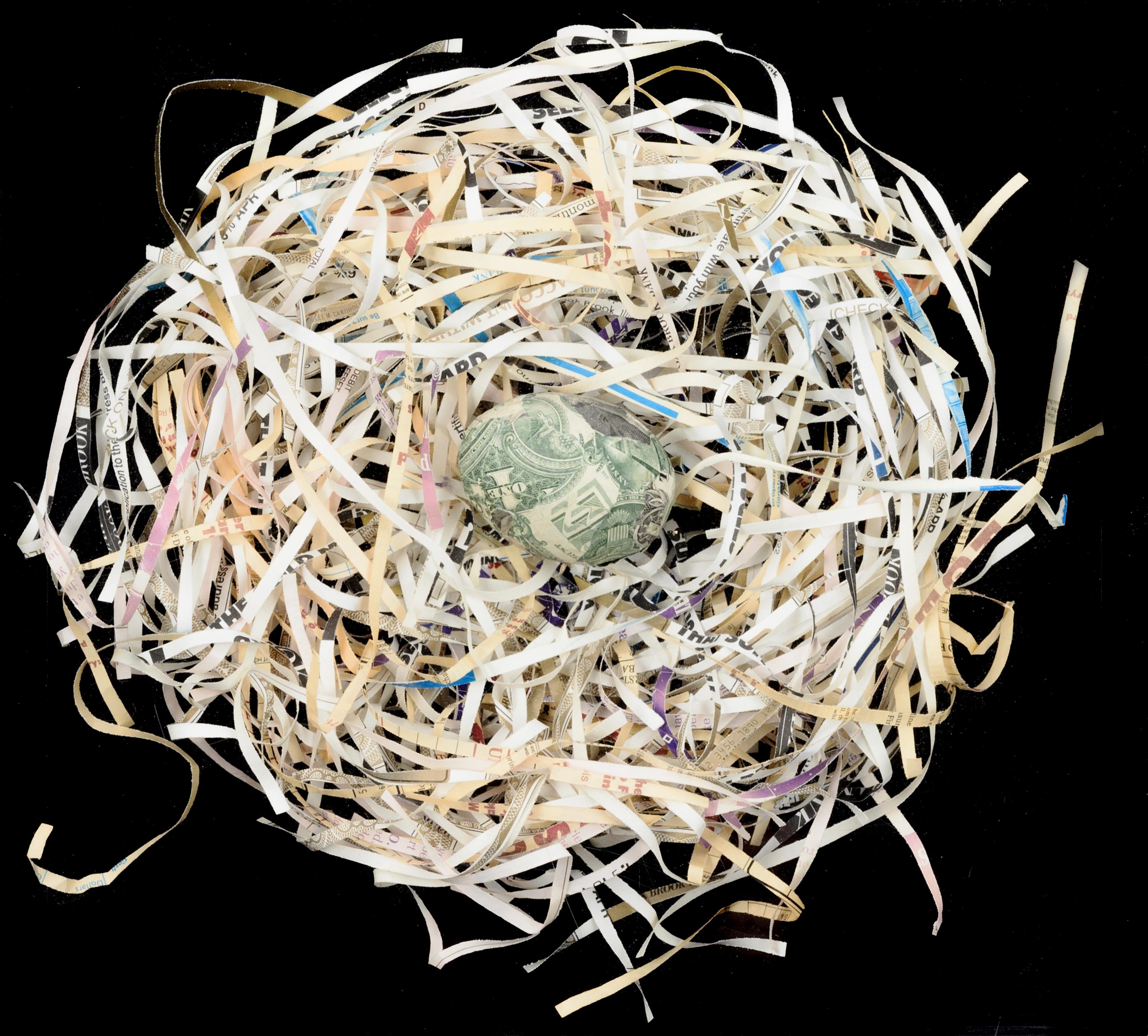 Untitled (Nest Egg)