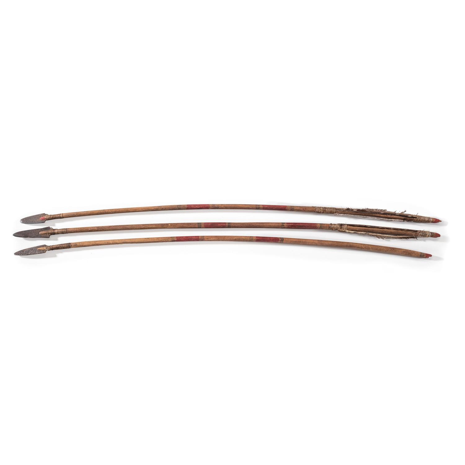 Plains Painted Arrows