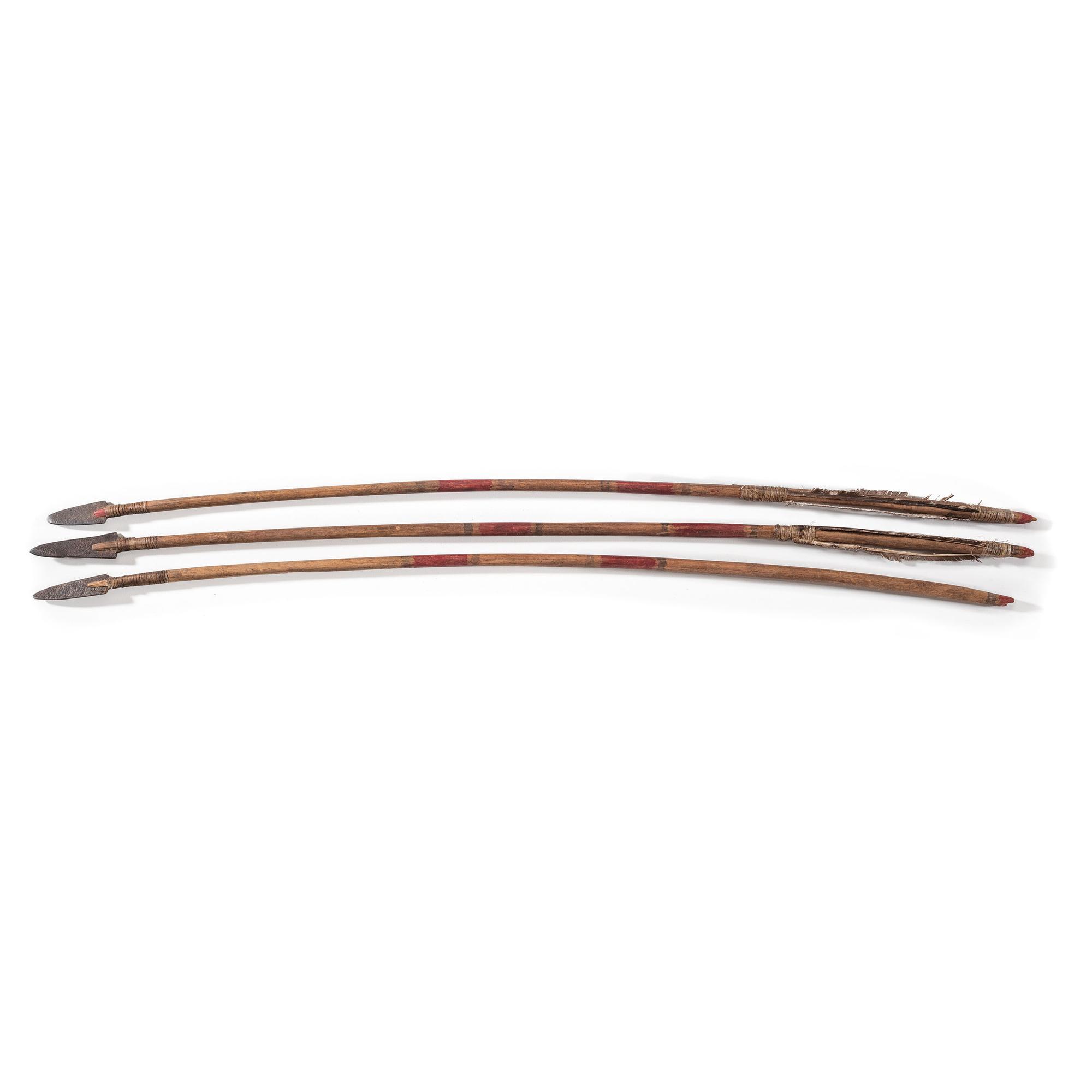 Plains Painted Arrows