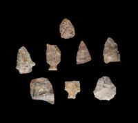 Eight Paleolithic Stone Flakes