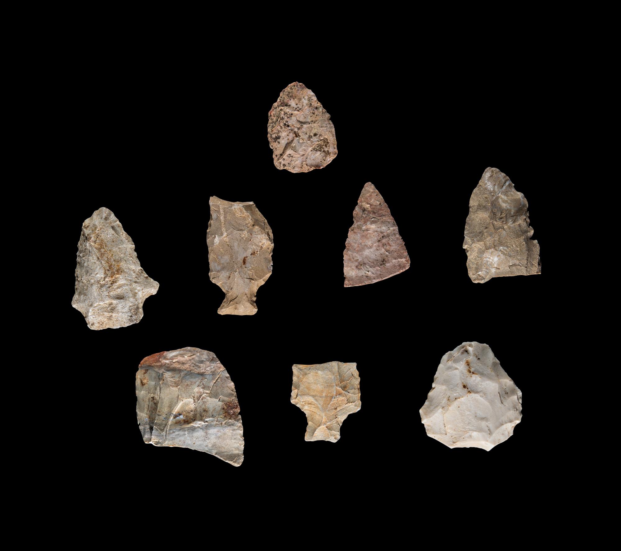 Eight Paleolithic Stone Flakes
