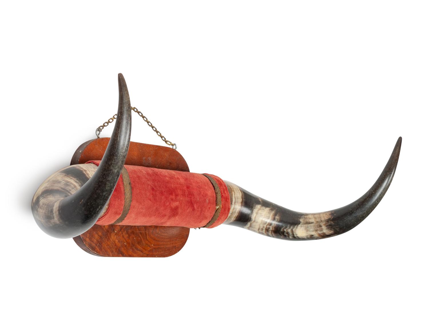 Four Decorative Longhorn Mounts