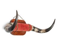 Four Decorative Longhorn Mounts