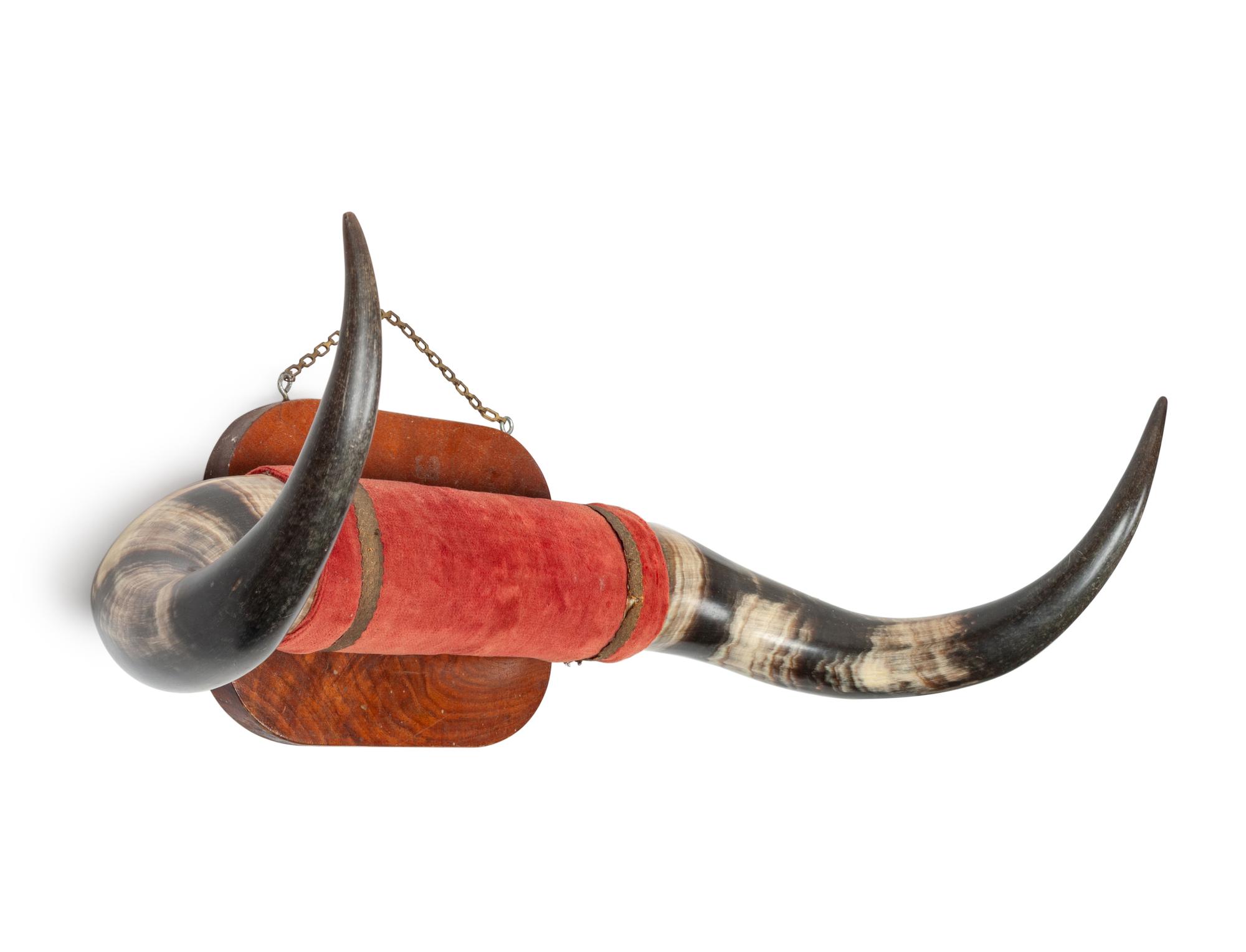 Four Decorative Longhorn Mounts