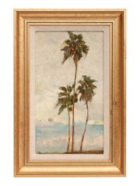 Palm Trees