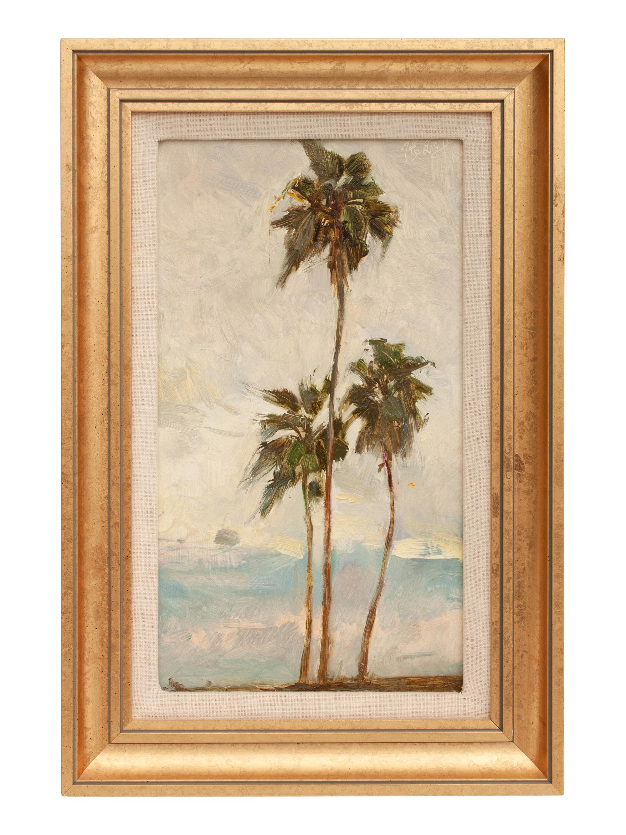 Palm Trees
