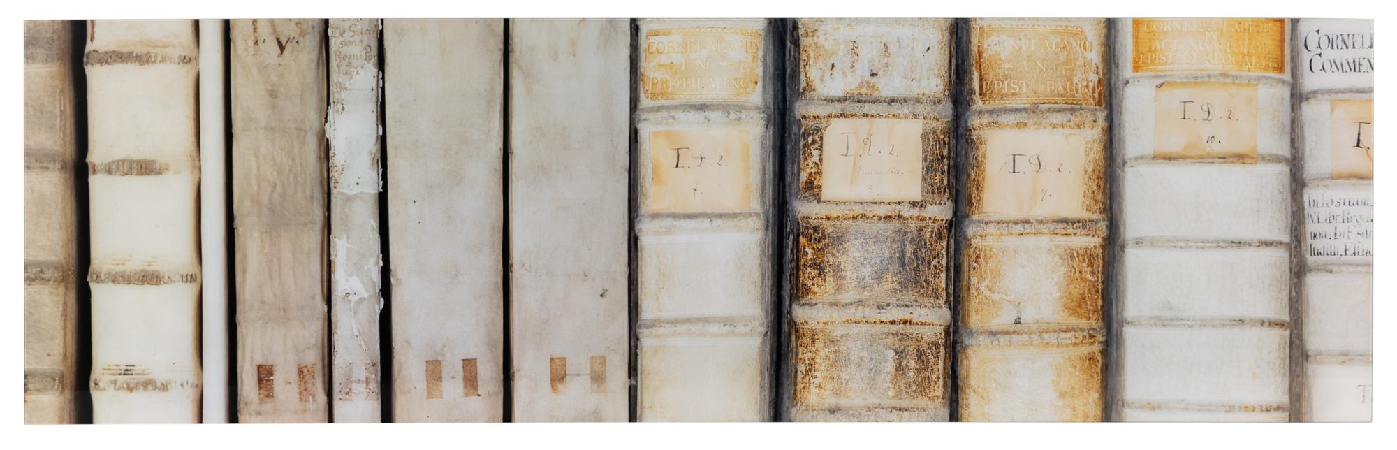 Two Photographic Panels of Vellum-Bound Books
