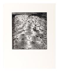 Game Control on Lariak Estate for Gilbert Coleville (from The End of the Game ), 1960