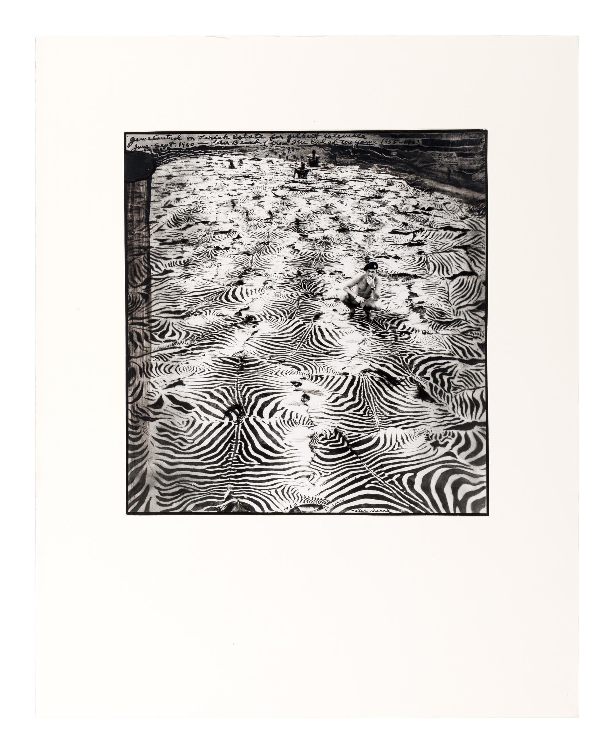 Game Control on Lariak Estate for Gilbert Coleville (from The End of the Game ), 1960