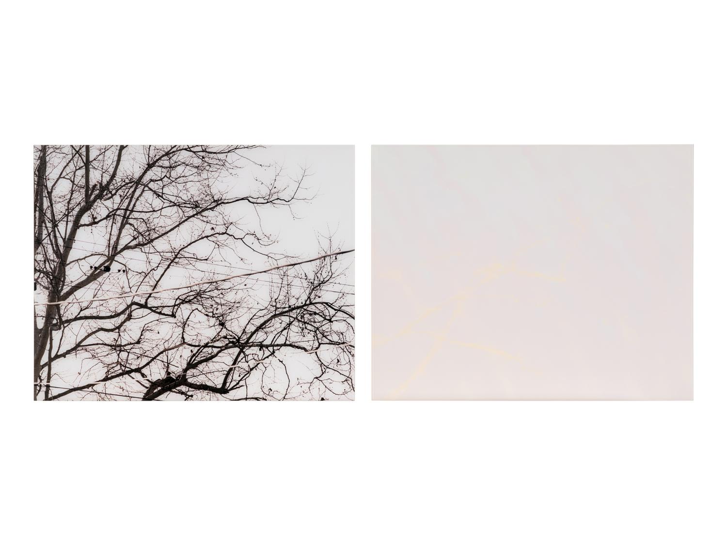 Untitled (02.9) , 2002 (diptych)