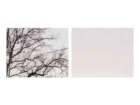 Untitled (02.9) , 2002 (diptych)