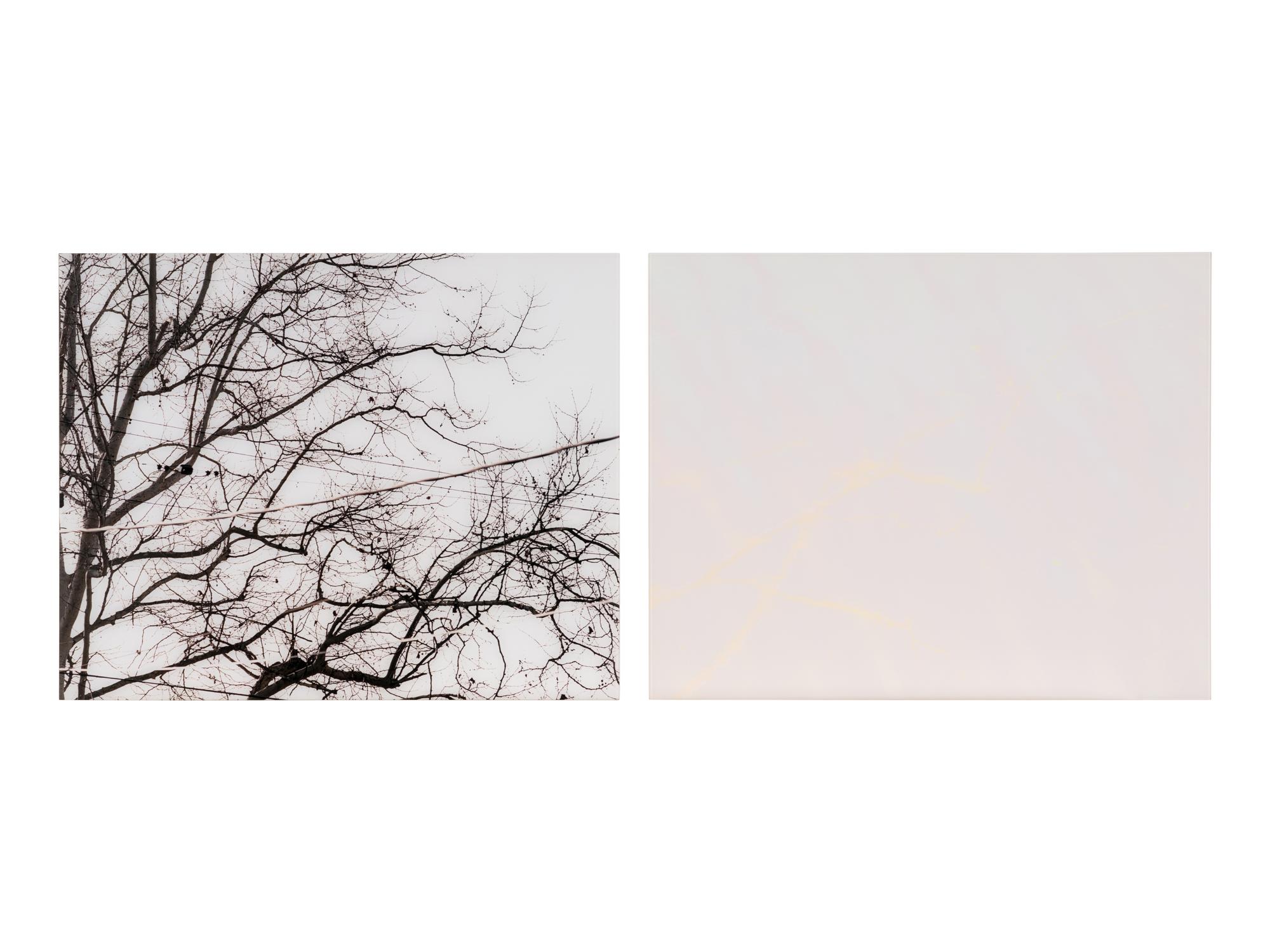 Untitled (02.9) , 2002 (diptych)