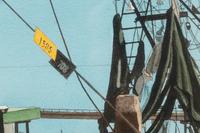 Three Fishing Boards