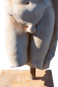 An Italian Marble Male Torso