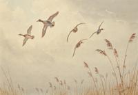 Turning Over the Reeds and Leaving Cover