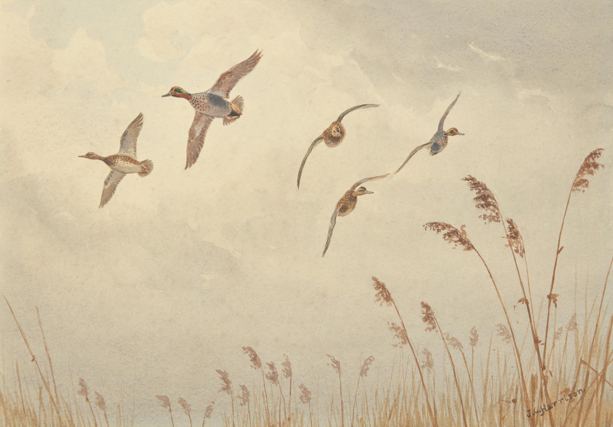 Turning Over the Reeds and Leaving Cover