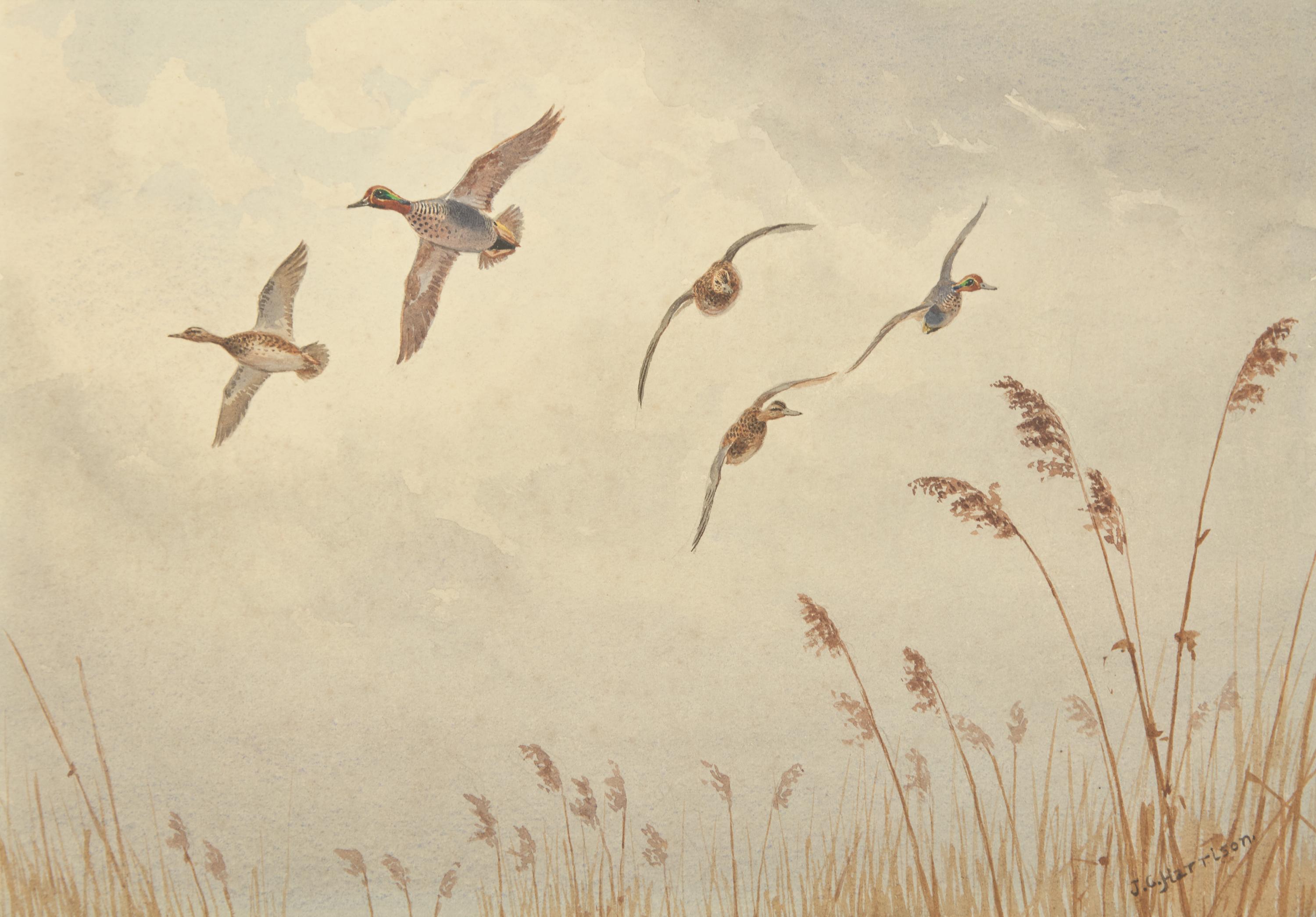 Turning Over the Reeds and Leaving Cover