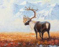Caribou