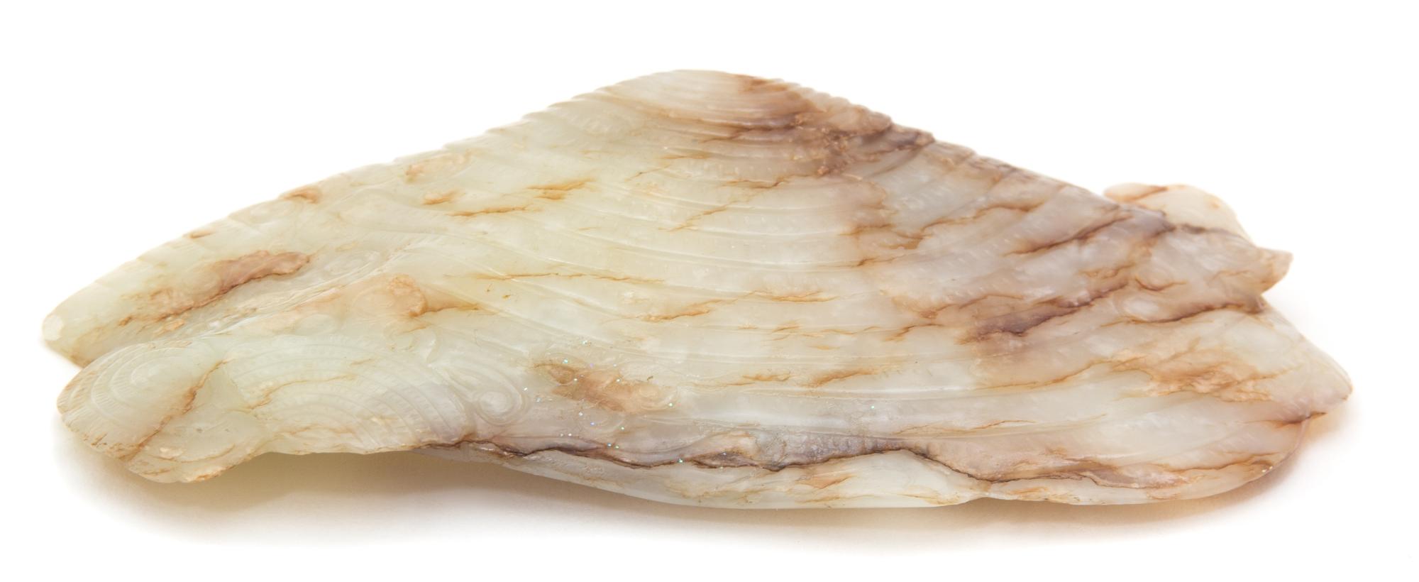 A Near-White and Russet Jade 'Shell' Ink Palette — LIKELY MING DYNASTY