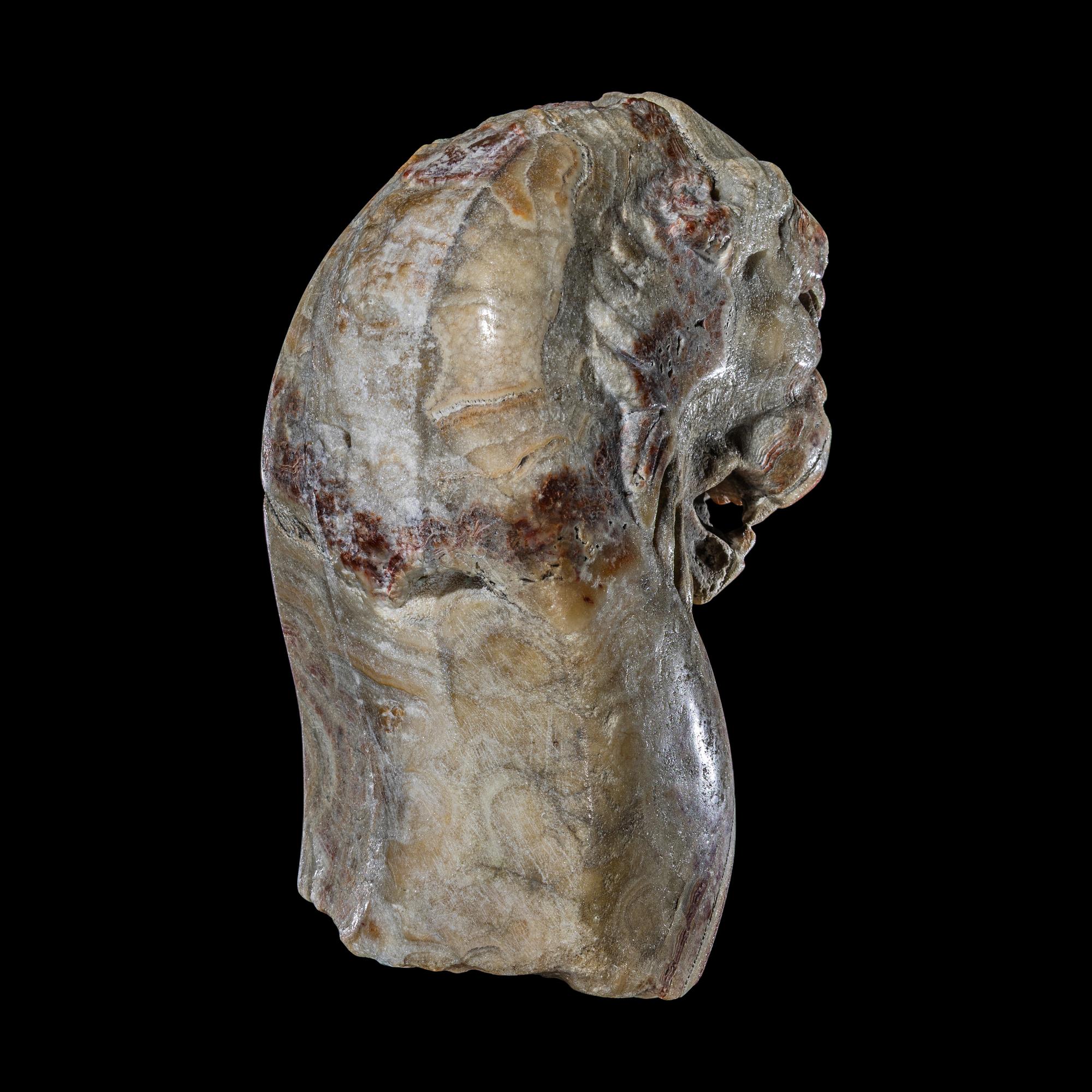 A Roman Alabaster Trapezophoros Fragment in the Form of a Panther