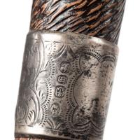 Two English Glass-Inset Carved Wood Dog's Head Canes