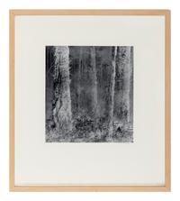 Untitled (Forest), 1970