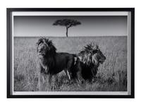 Michel Ghatan (born 1975) The Twins, Masai Mara, Kenya, 2021
