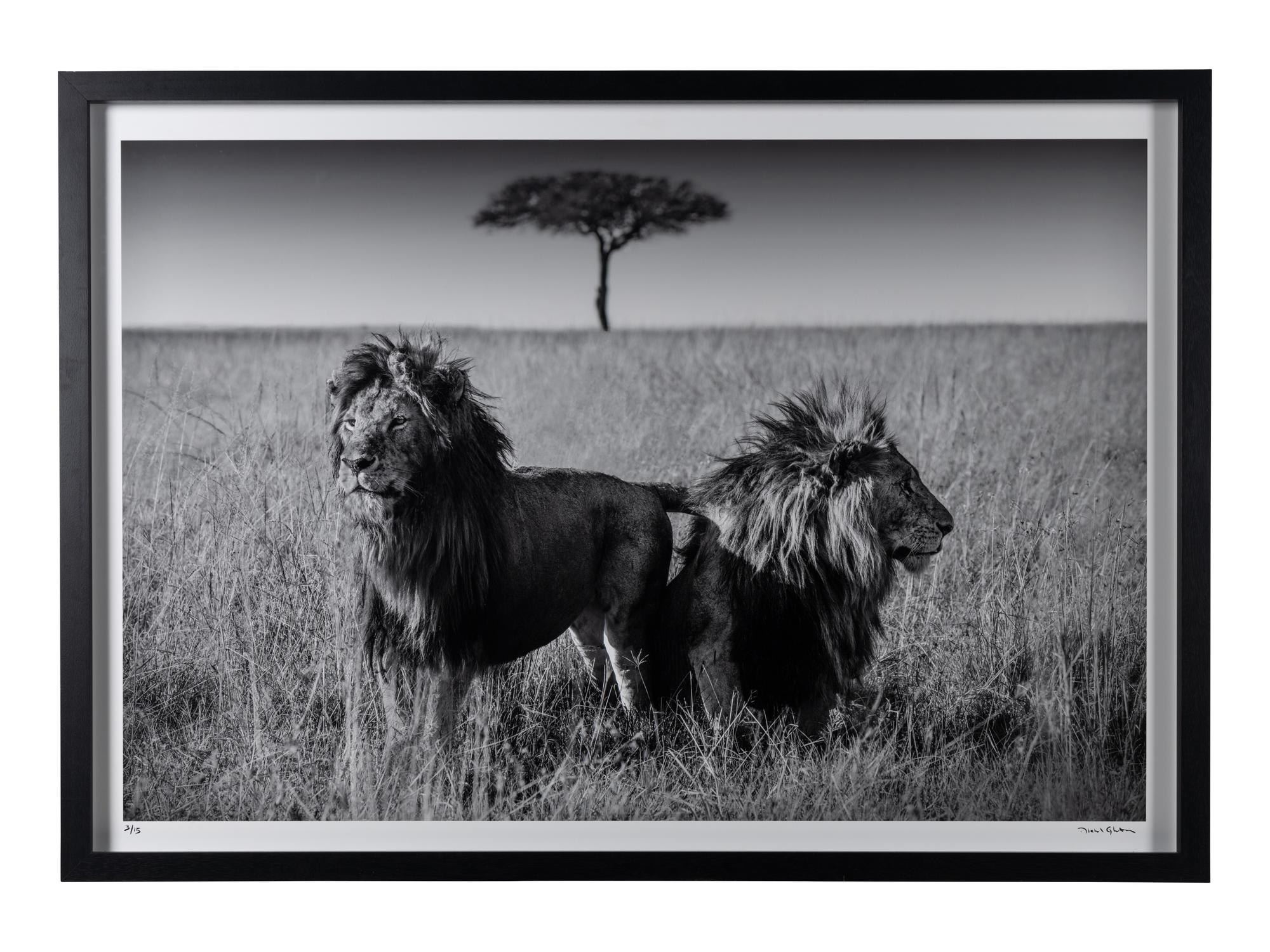 Michel Ghatan (born 1975) The Twins, Masai Mara, Kenya, 2021