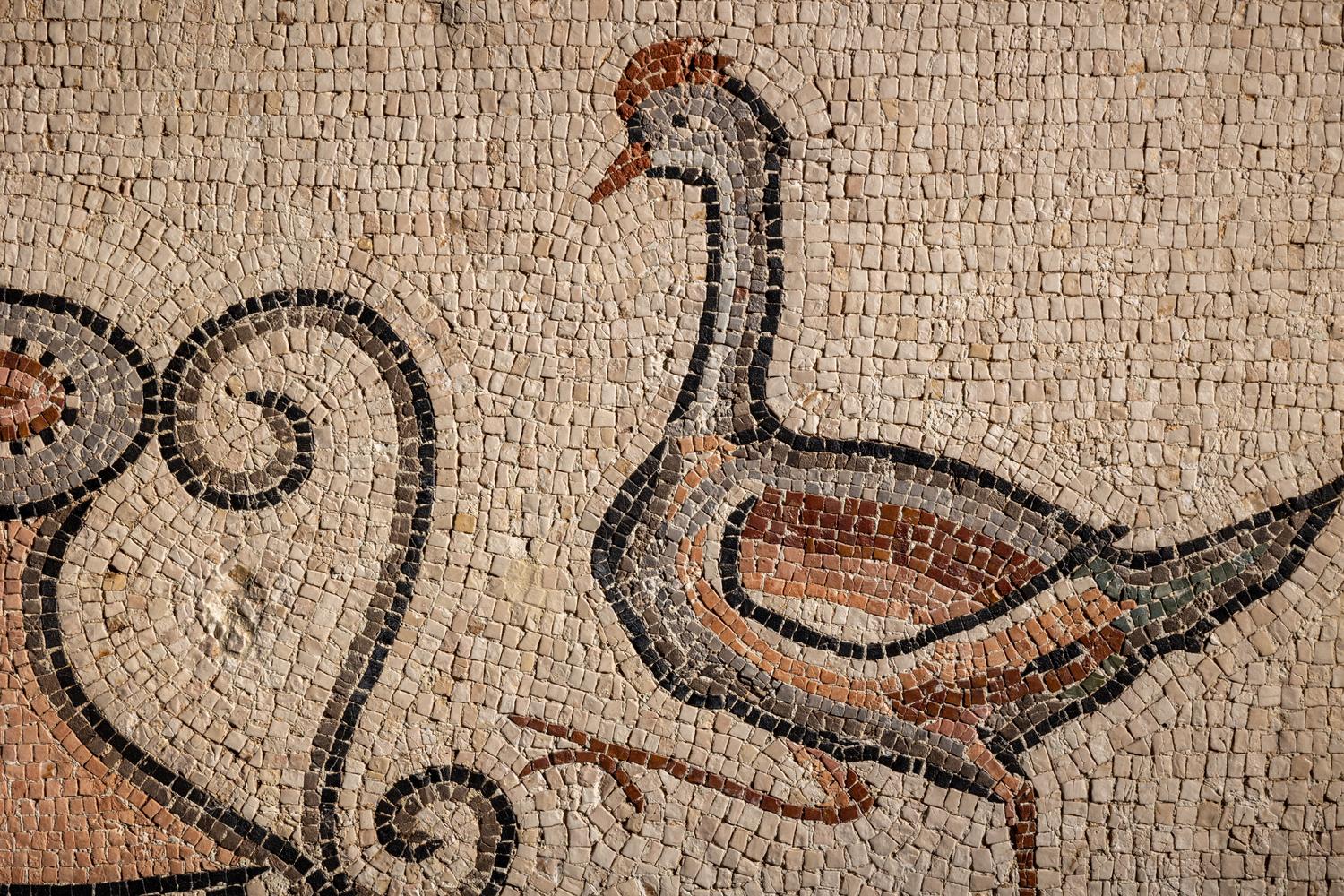 A Roman Polychrome Mosaic