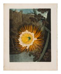 THORNTON, Robert John (1768-1837). New Illustration of the Sexual System of Carolus von Linnaeus Comprehending... and the Temple of Flora, or Garden of Nature . London: for the Publisher, by T. Bensley [1799-] 1807-[1812].