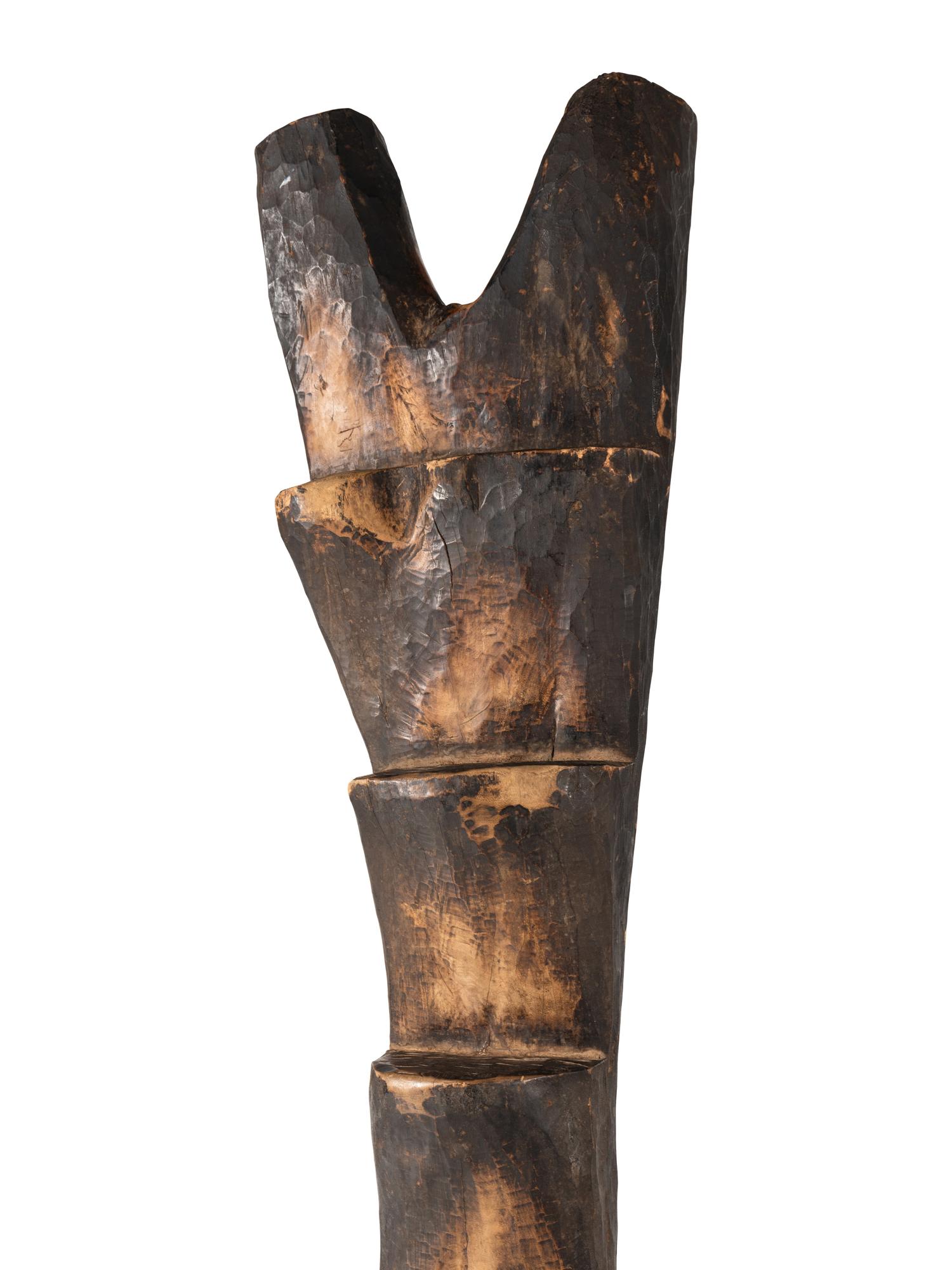 A Dogon Ladder and Two Staffs