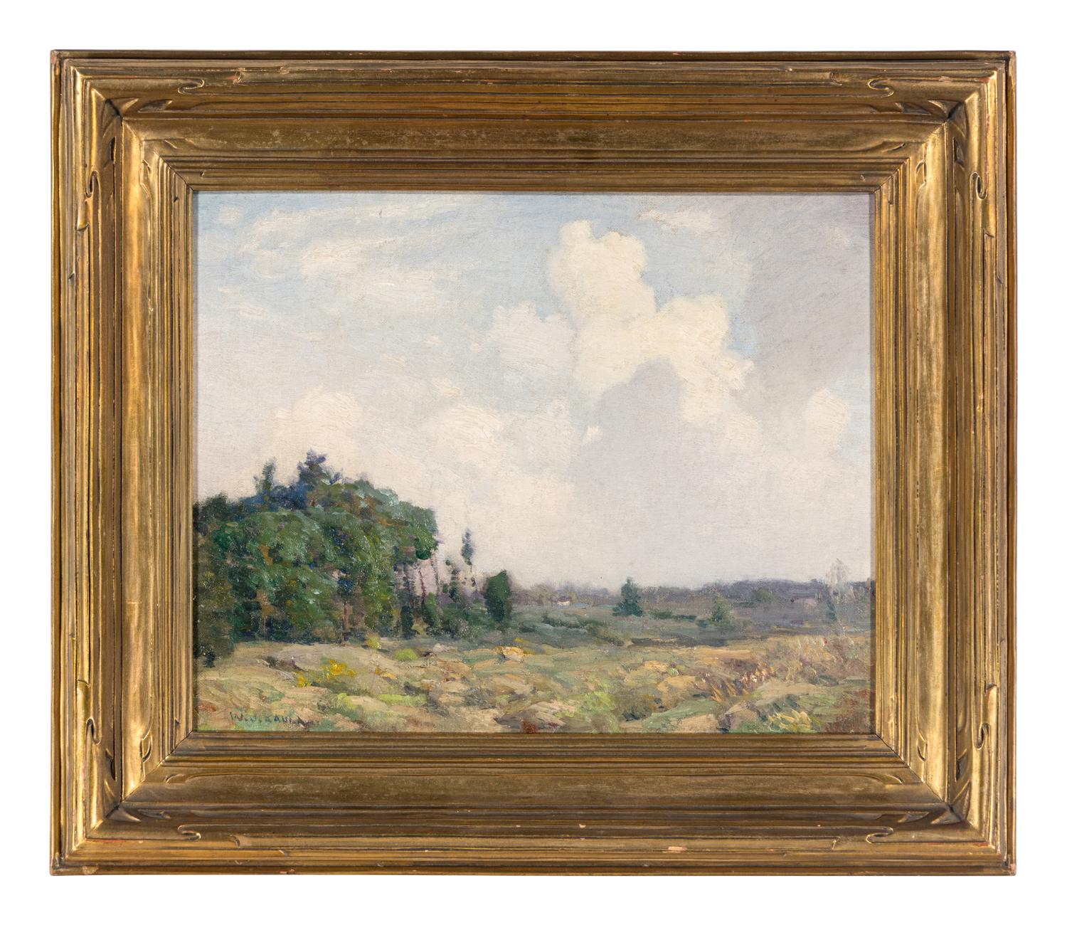 Spring Meadows