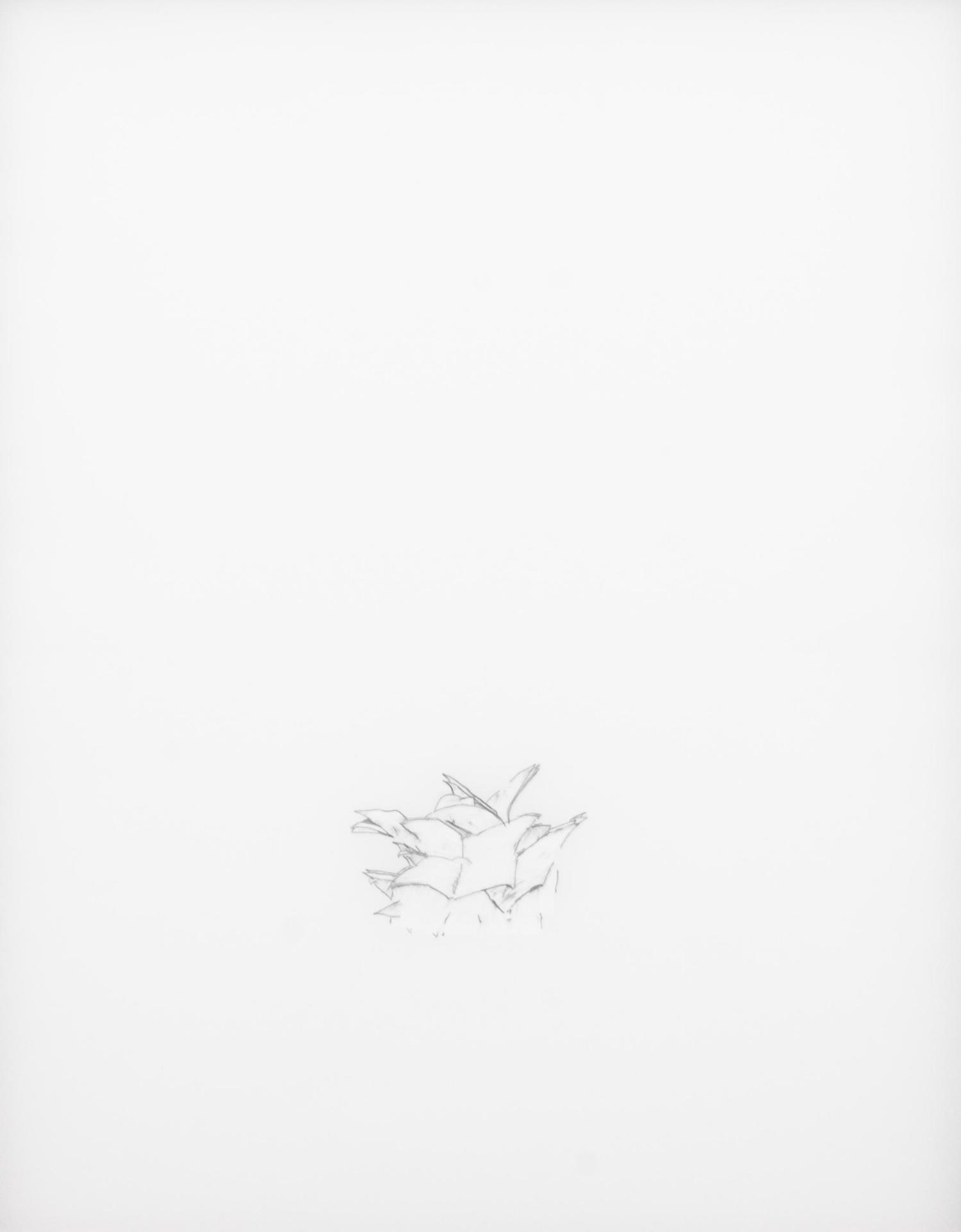 Untitled (Herman)