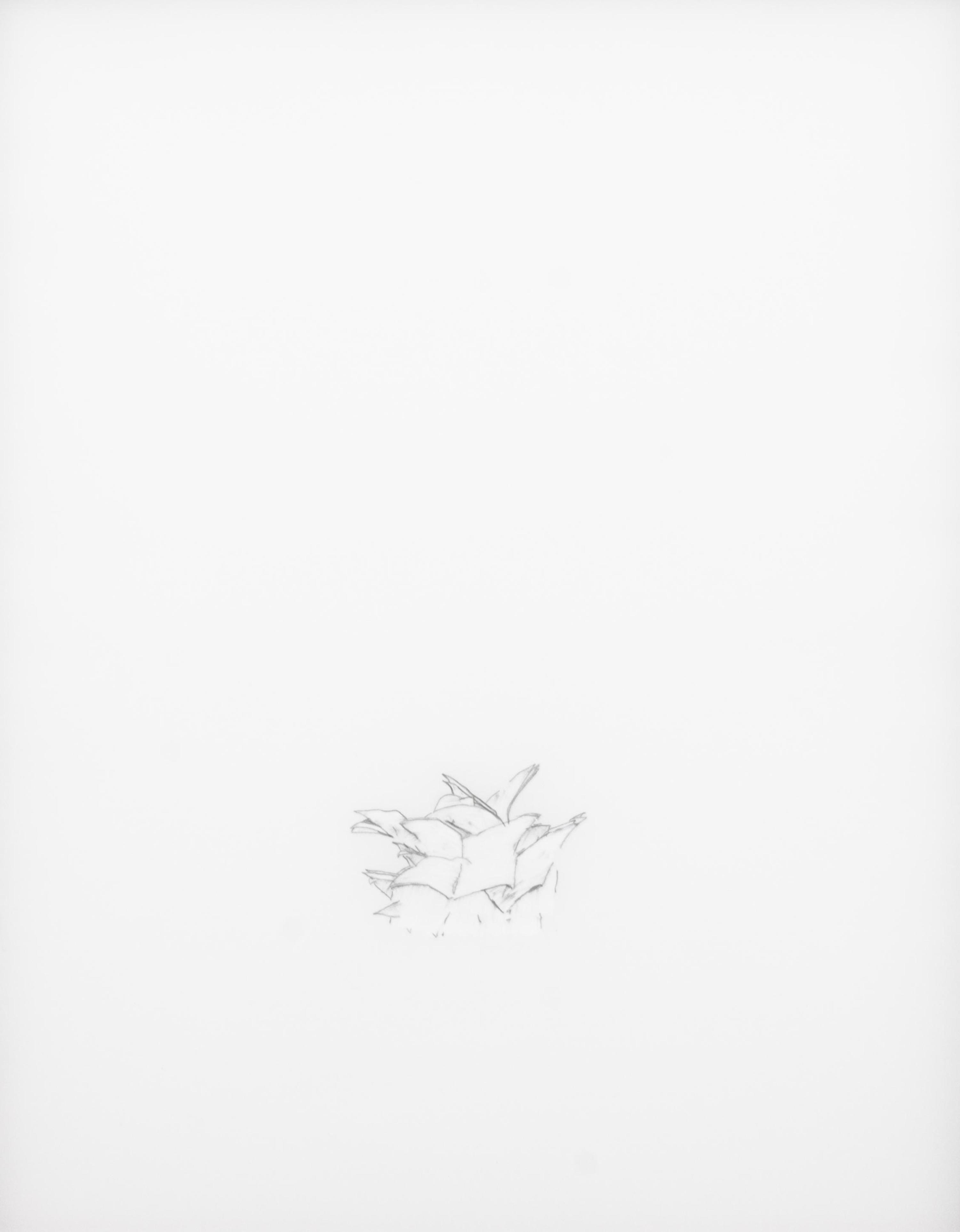 Untitled (Herman)