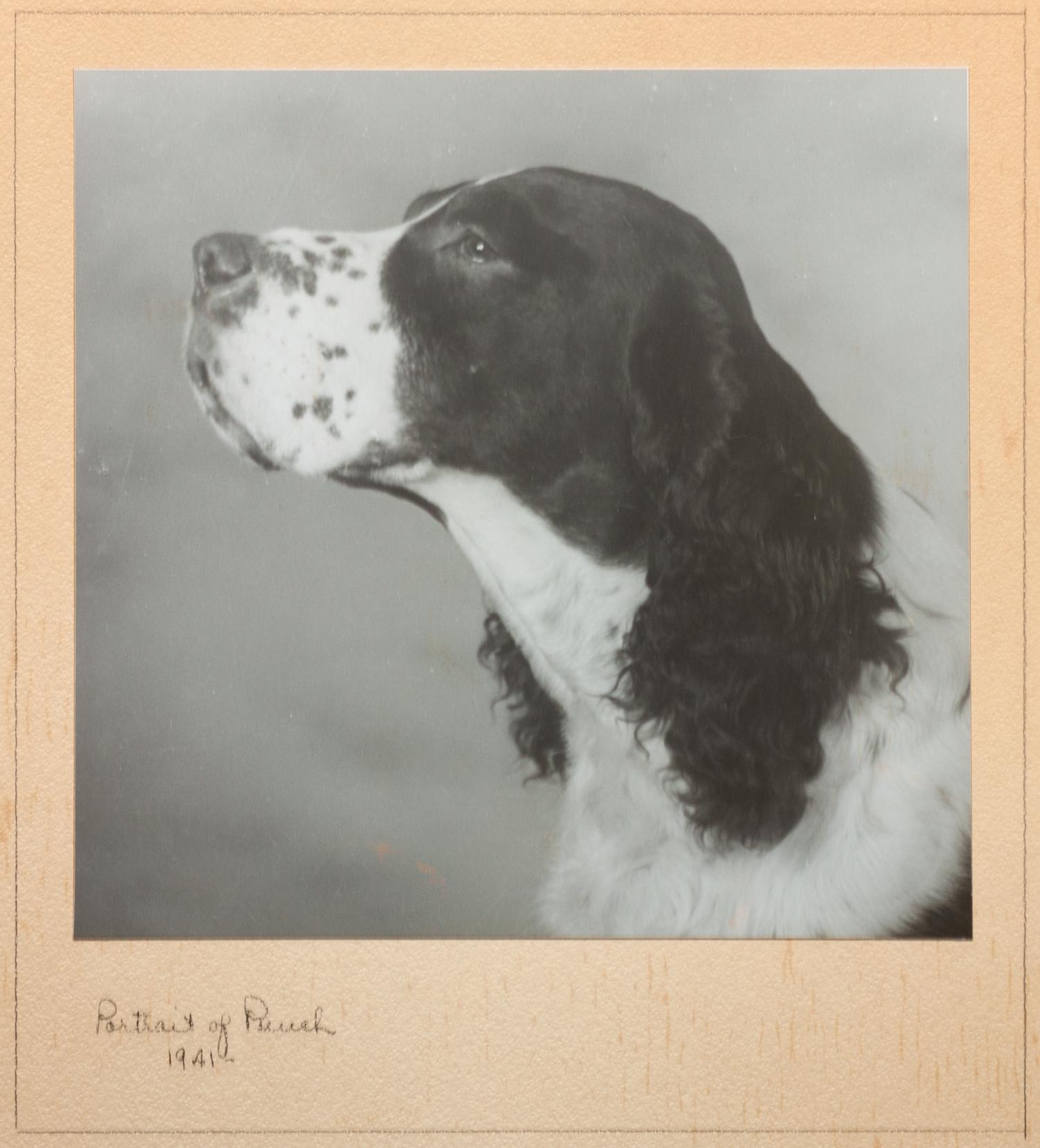 Three Works of Art depicting English Springer Spaniels Largest: 23 1/4 x 29 1/4 inches.