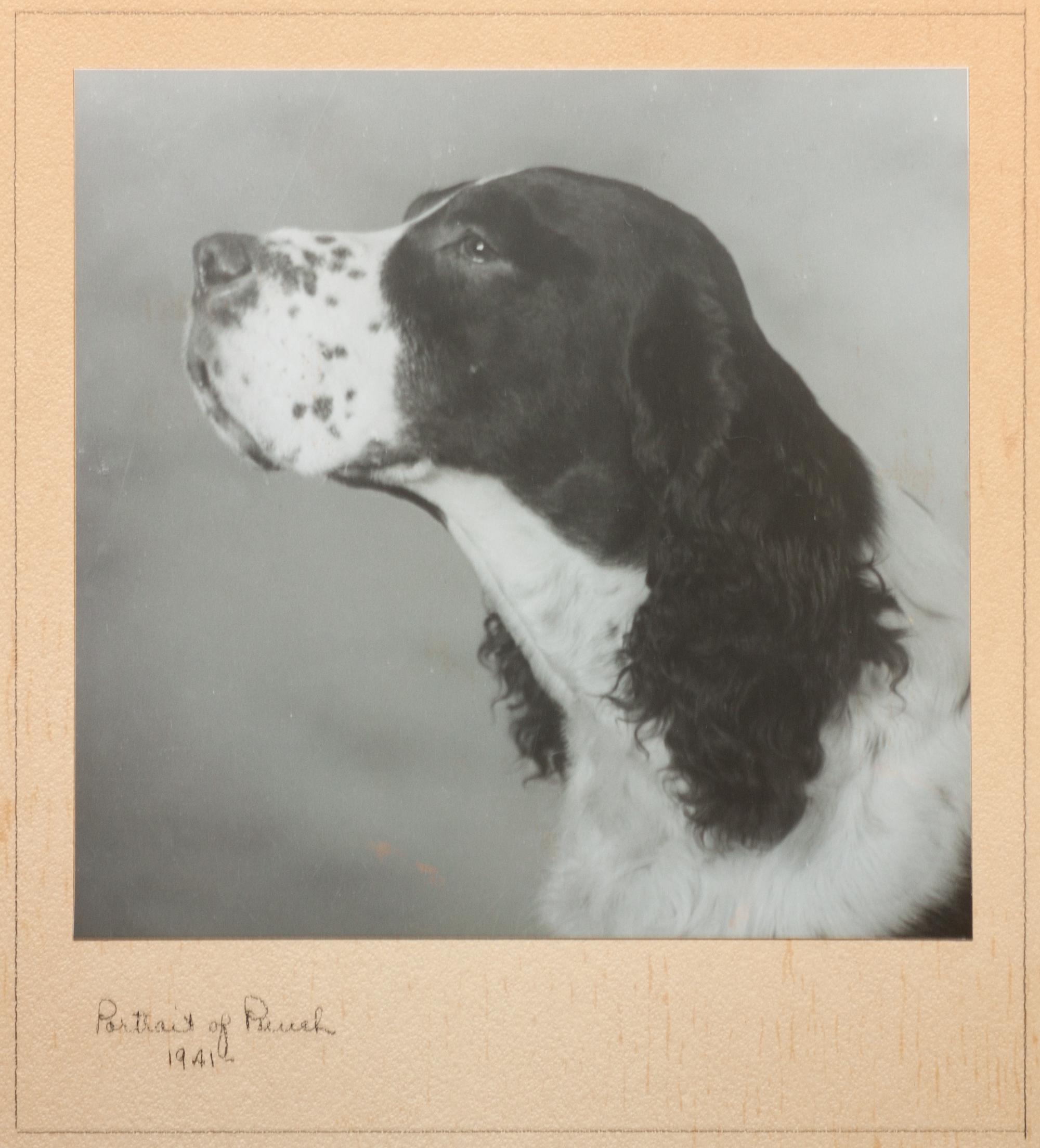 Three Works of Art depicting English Springer Spaniels Largest: 23 1/4 x 29 1/4 inches.