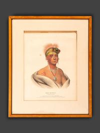 Three Hand-Colored Lithographs by McKenney and Hall