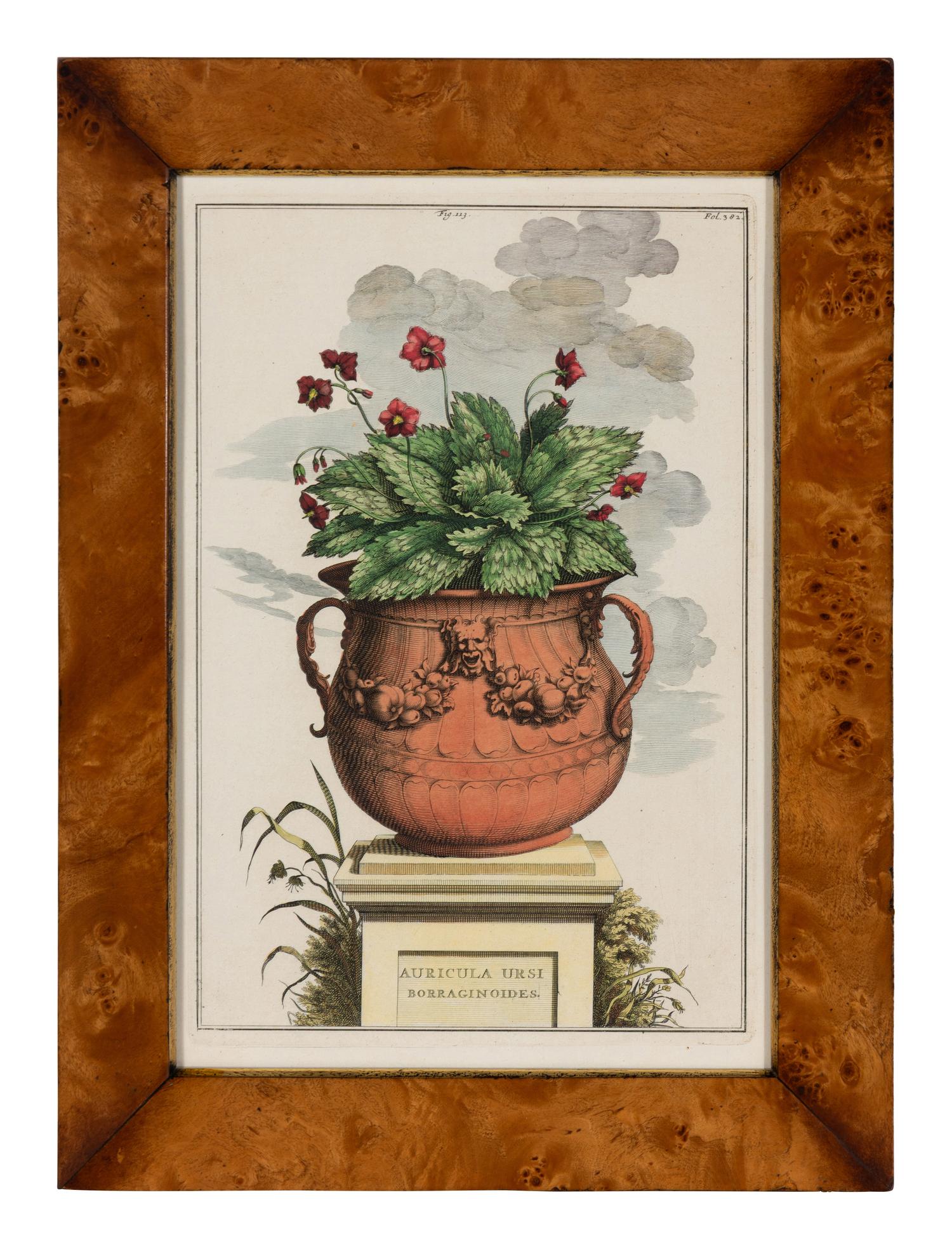 A Set of Four Hand Colored Botanical Engravings