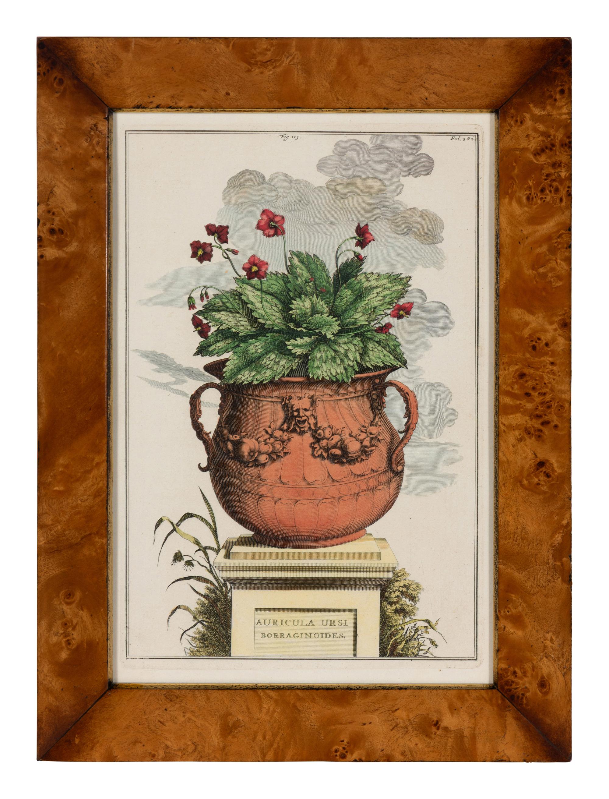 A Set of Four Hand Colored Botanical Engravings
