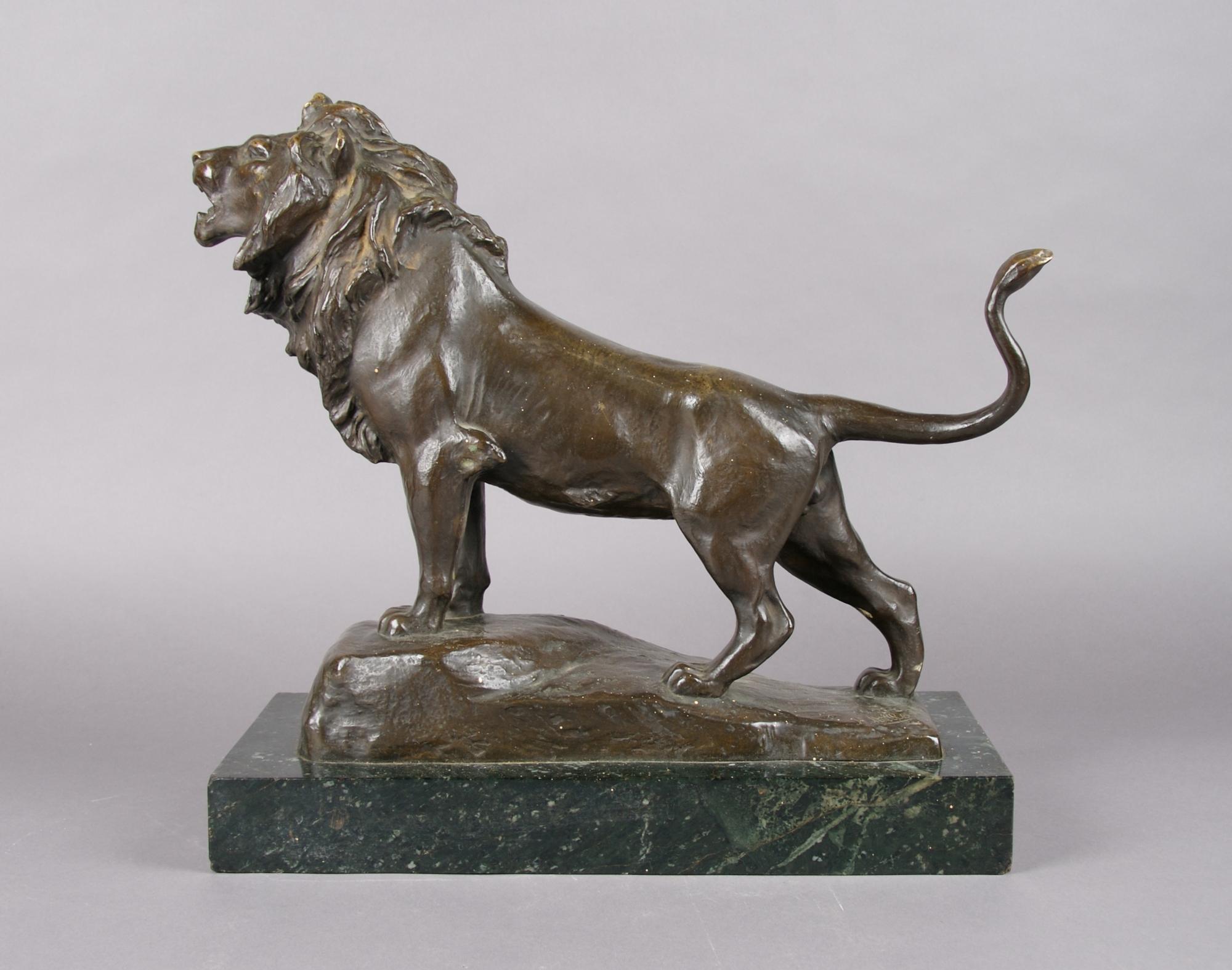 A Bronze Sculpture of a Lion, Hans Muller, Height of bronze 13 1/2 x width 18 inches.