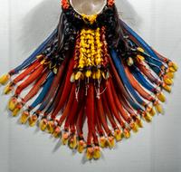 A Kayapo or Rikbaktsa Feather Headdress