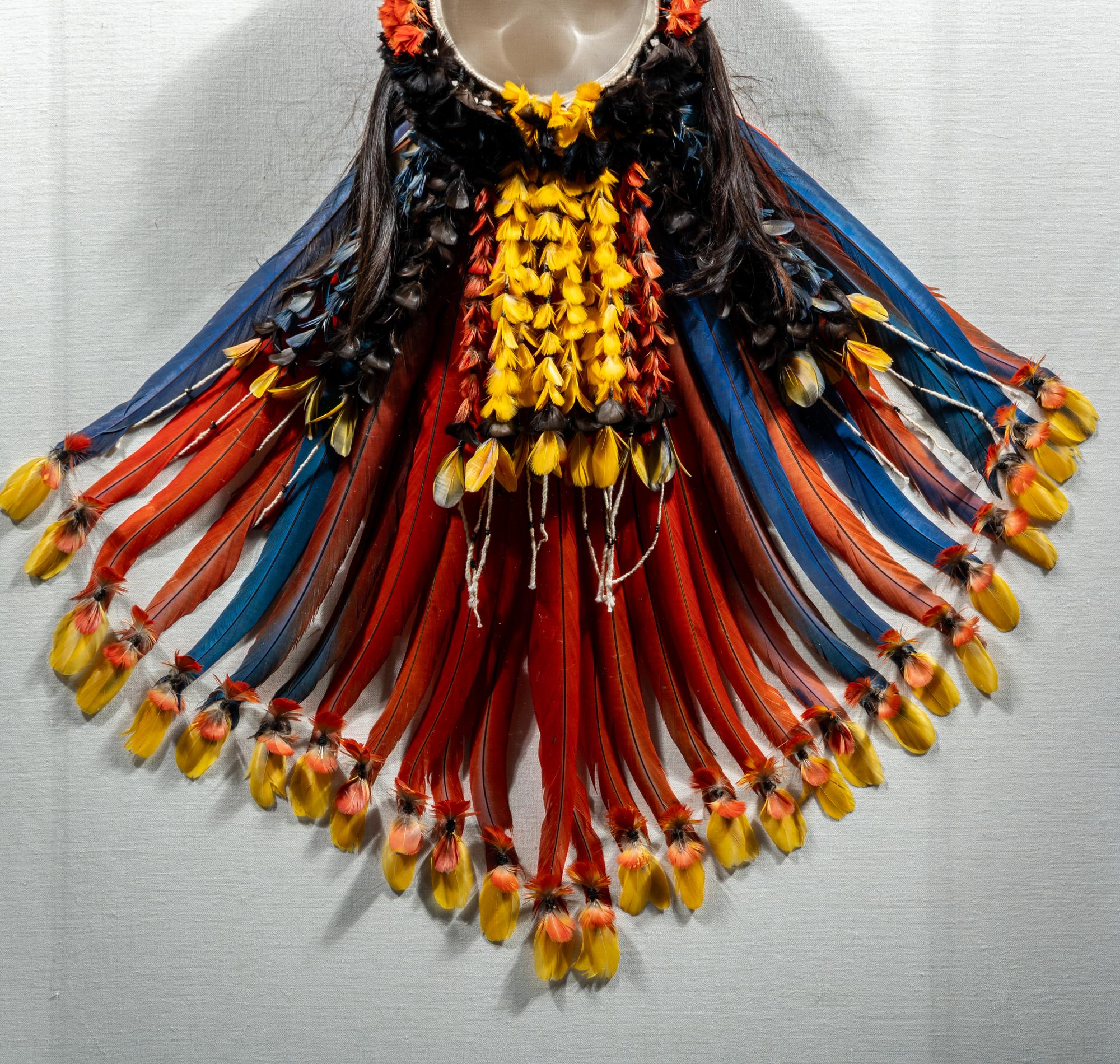 A Kayapo or Rikbaktsa Feather Headdress
