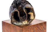 Head