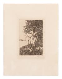 Alder