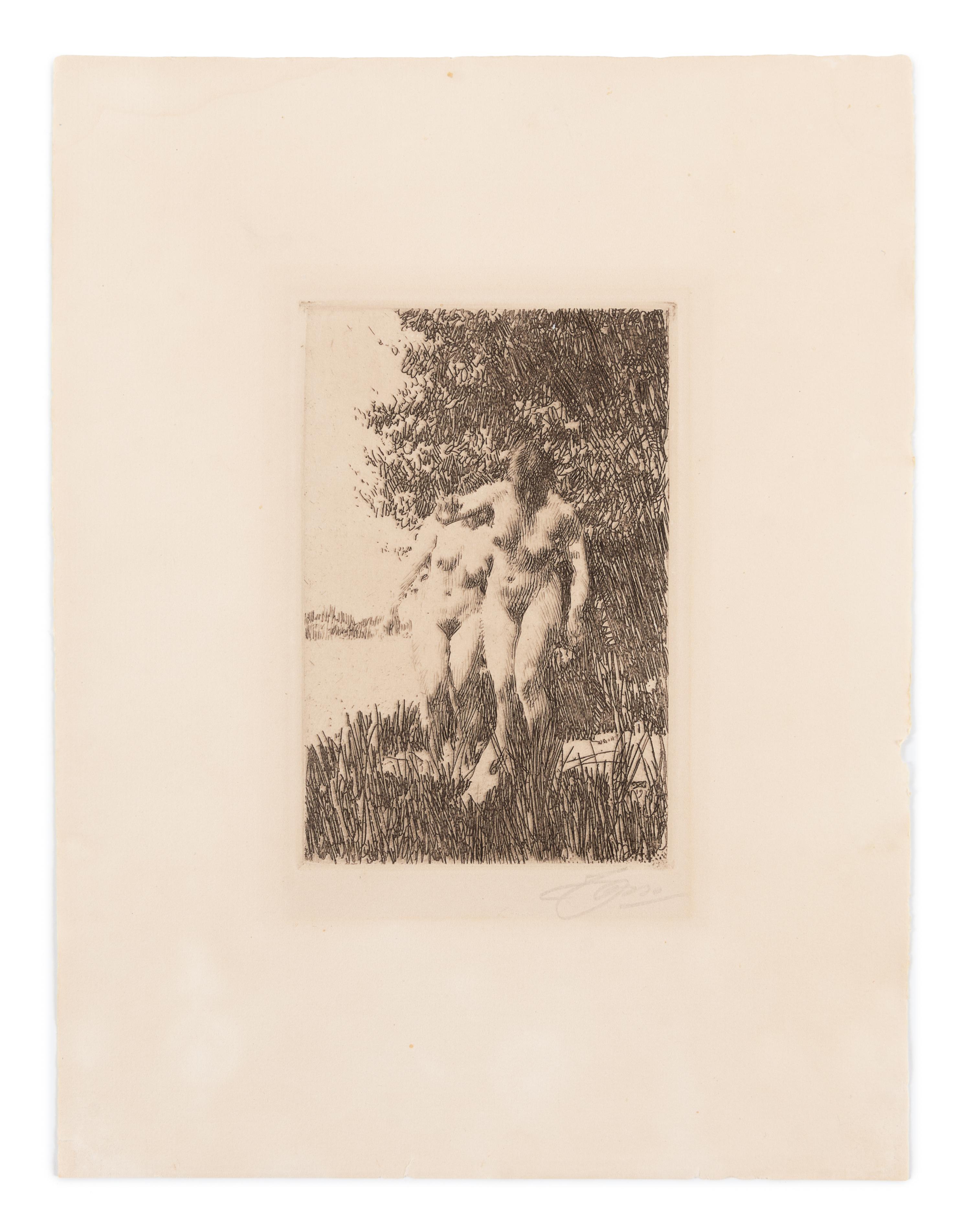 Alder